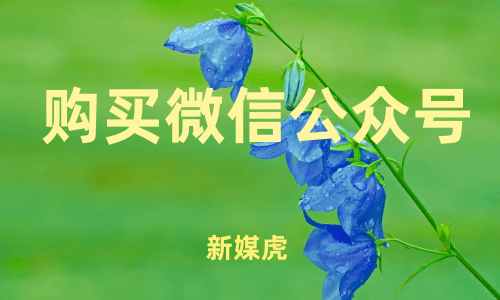 新媒虎-购买微信公众号 新媒虎-购买微信公众号