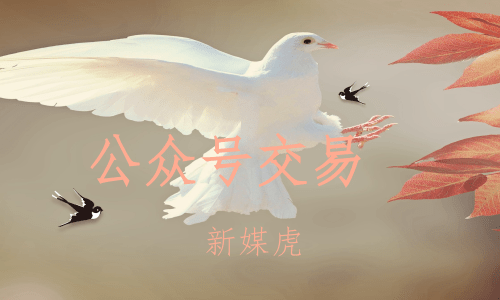 新媒虎-视频公众号购买 新媒虎-视频公众号购买
