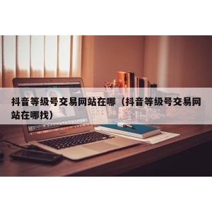 抖音等级号交易网站在哪（抖音等级号交易网站在哪找）